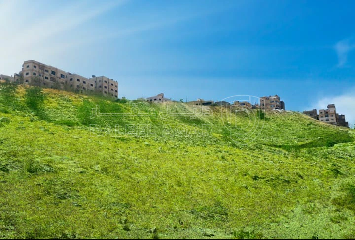 أرض في عمان - النويجيس - 80,604 دأ - صورة 1